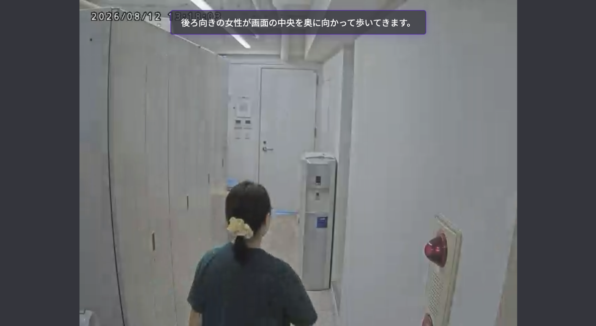 字幕表示 映像再生画面